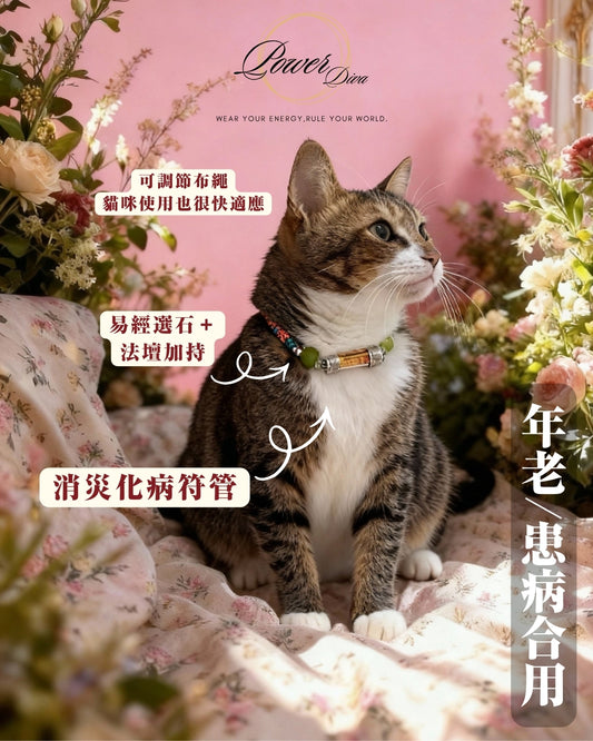 客製化寵物水晶符牌/符管頸圈