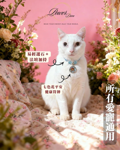 客製化寵物水晶符牌/符管頸圈